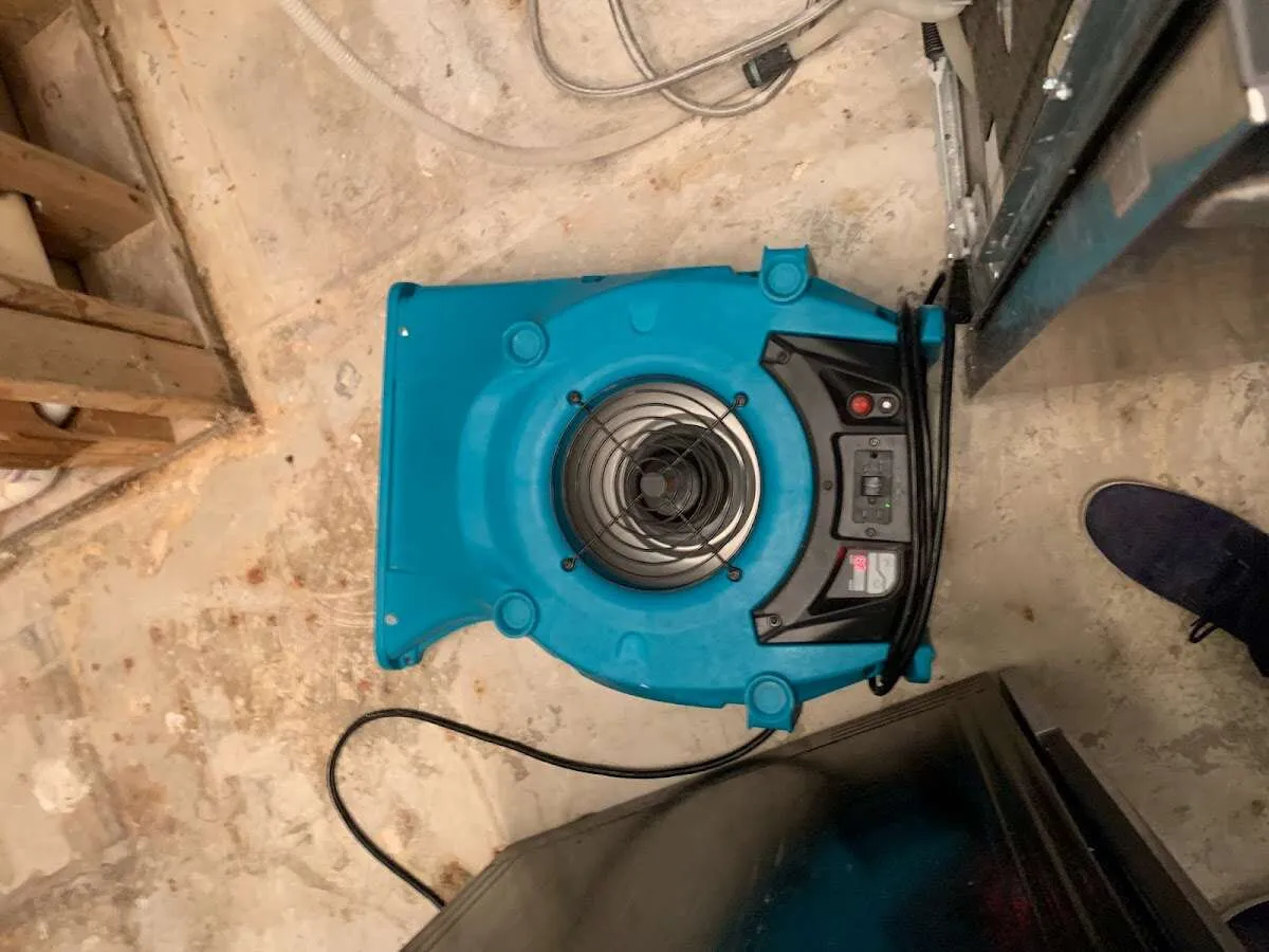 Air mover drying equipment for Mold Remediation & Removal in Hadley